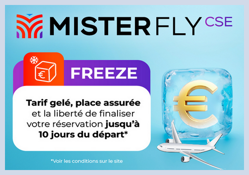 reduction cse mister fly freeze